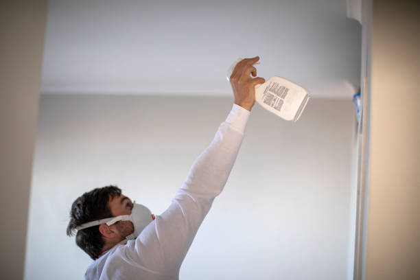 Best Professional Mold Removal  in Exton, PA
