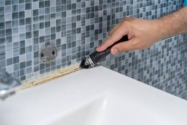 Exton, PA Mold Removal Company