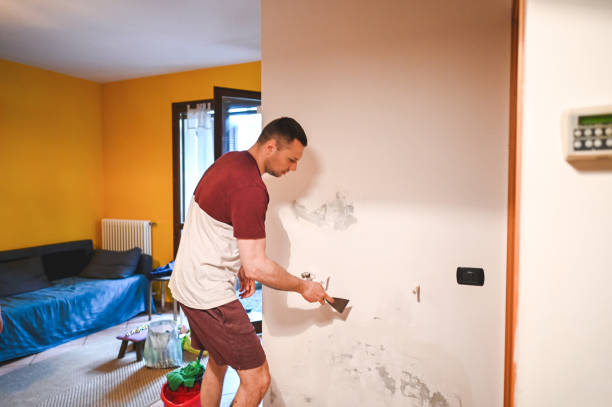 Home Mold Removal in Exton, PA